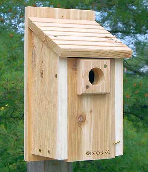 Woodlink Audubon Traditional Bluebird House